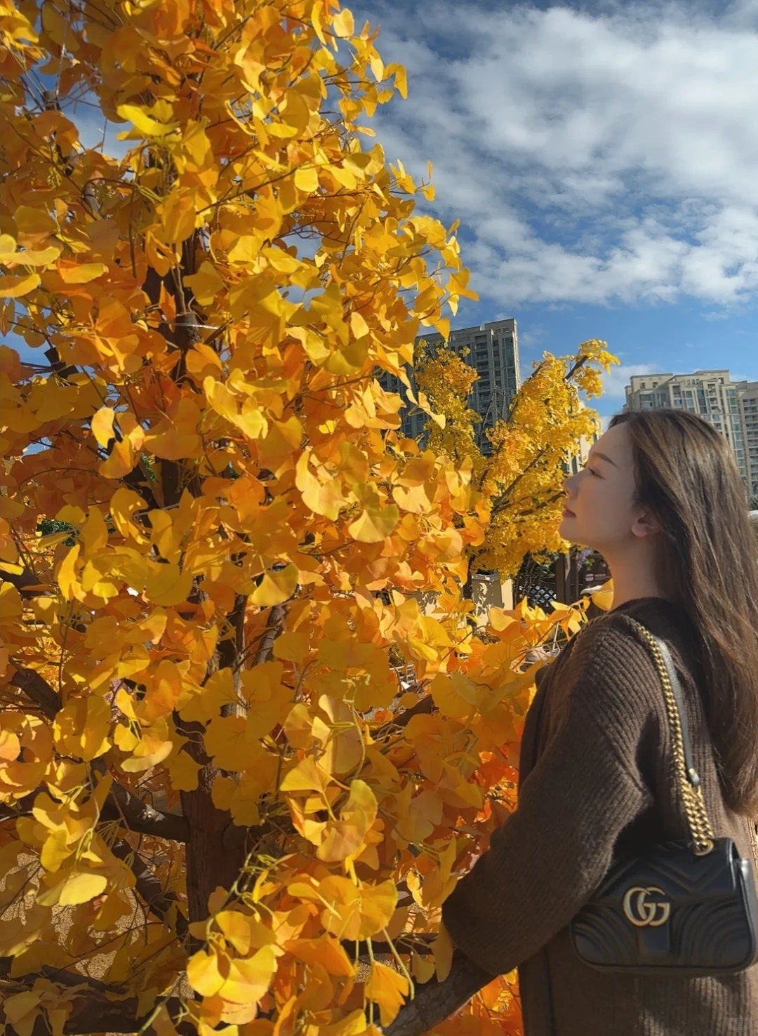 📍东莞探店｜最好拍的秋天