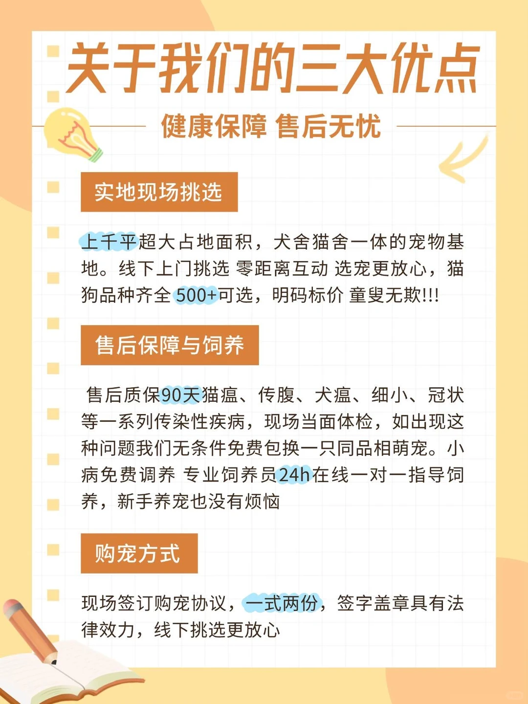 深圳大型宠物基地🔥喜欢猫猫狗狗的看过来🔥