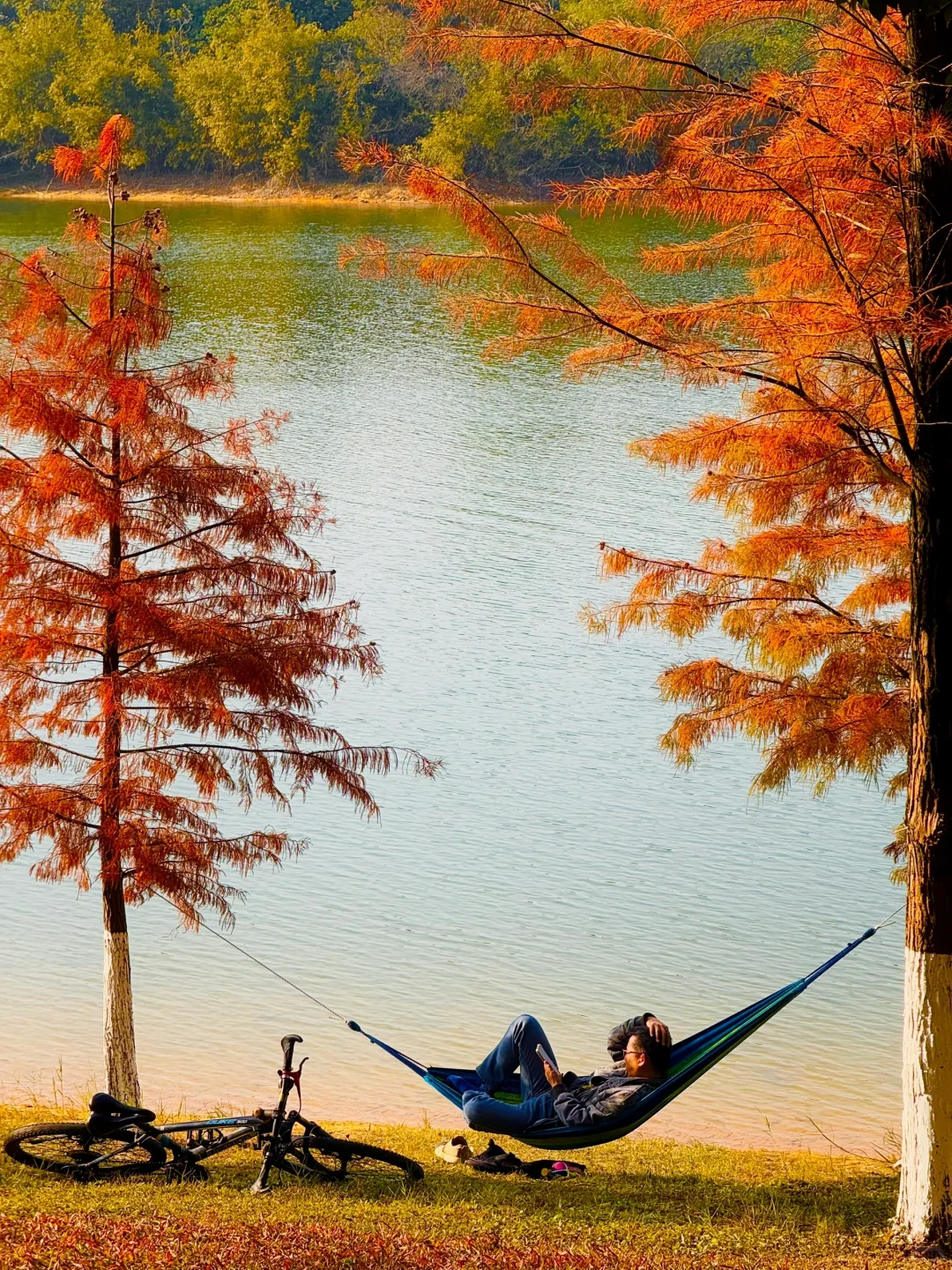 不是大理！现在的东莞美得像油画📱1.6实拍