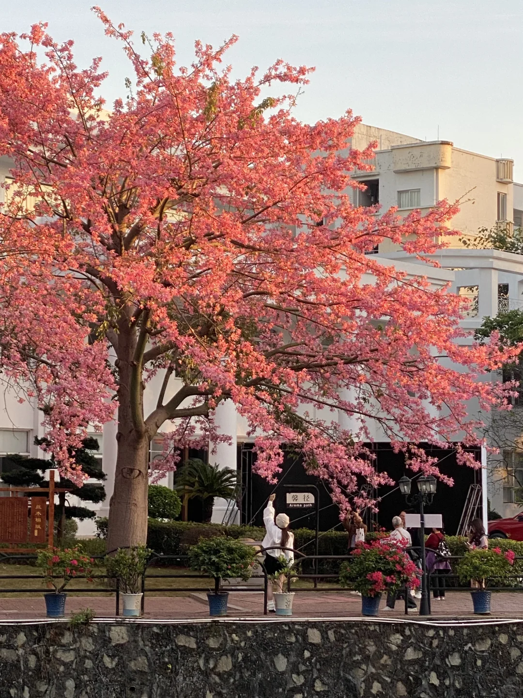 “后来我逢人便会说…🌸秋天的广州有多美！！”