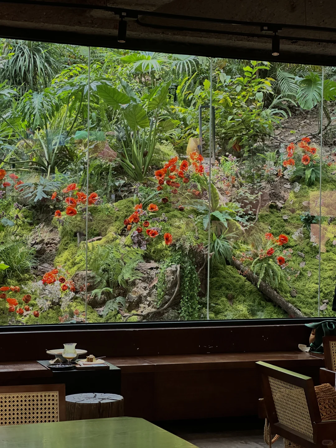 淡人 独处 东莞树景玻璃屋发呆1h恢复能量