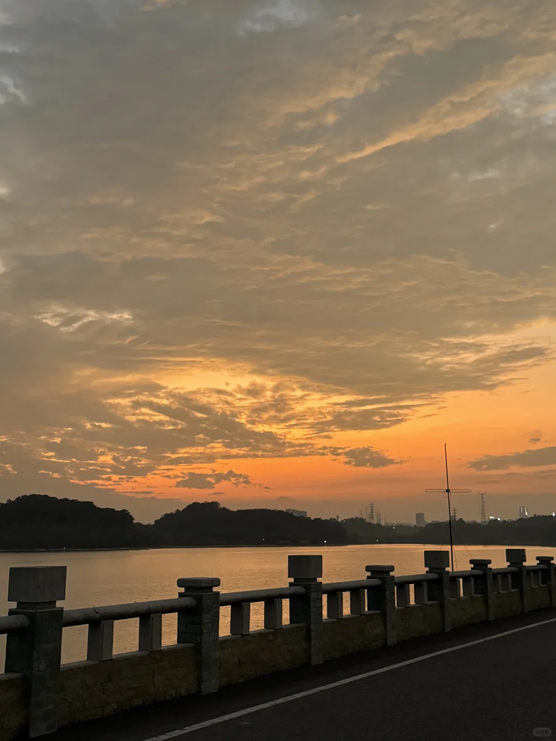 📍东莞 秋日浪漫指南 同沙公园看晚霞🌄