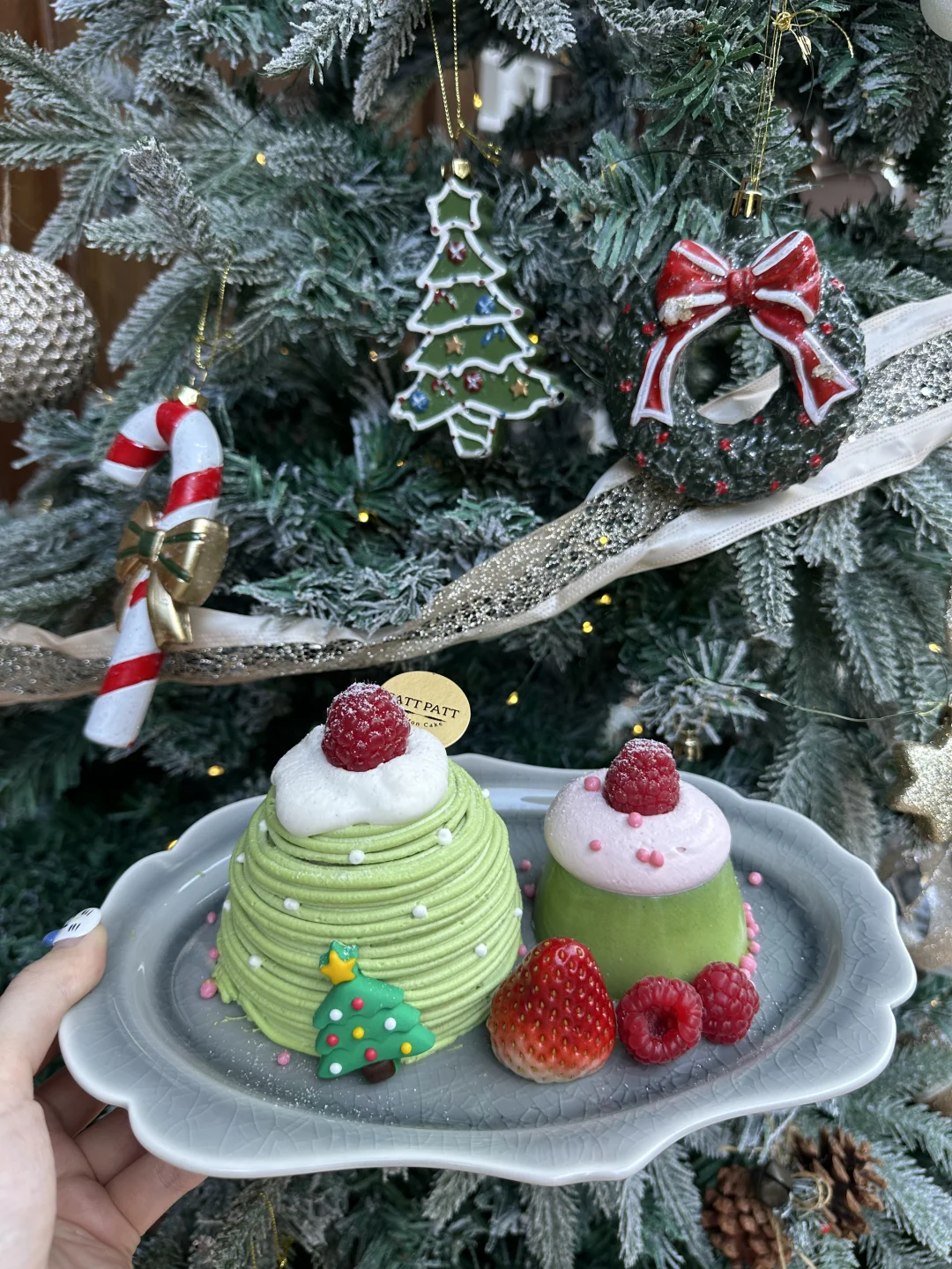 广州新的！！！圣诞浓度1000%🎄！！！