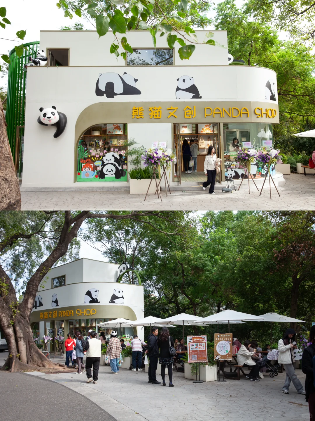 正式开业啦！！免费送你熊猫周边🐼💖✨