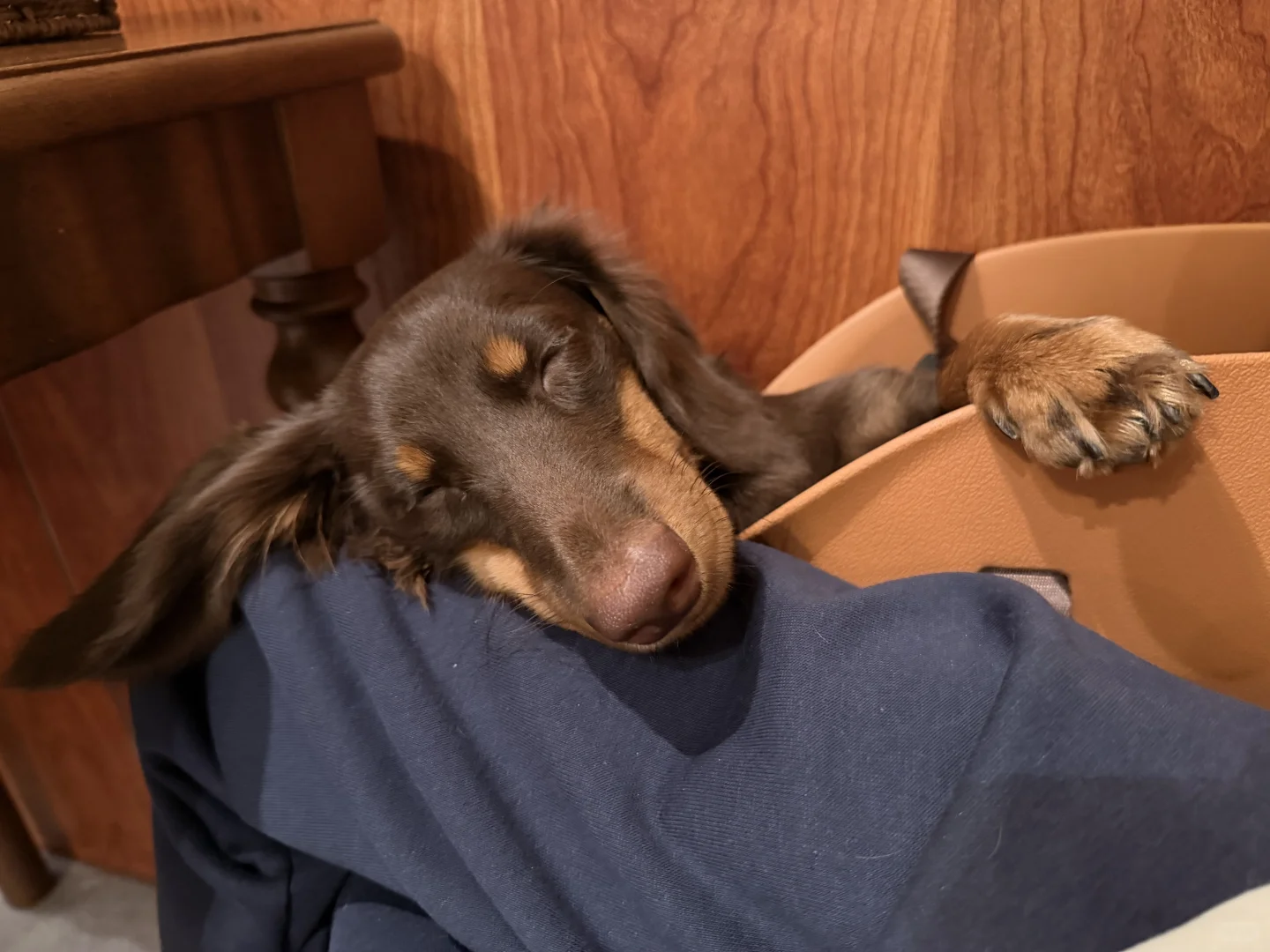 我来广州啦！带来了好消息✌️✌️✌️