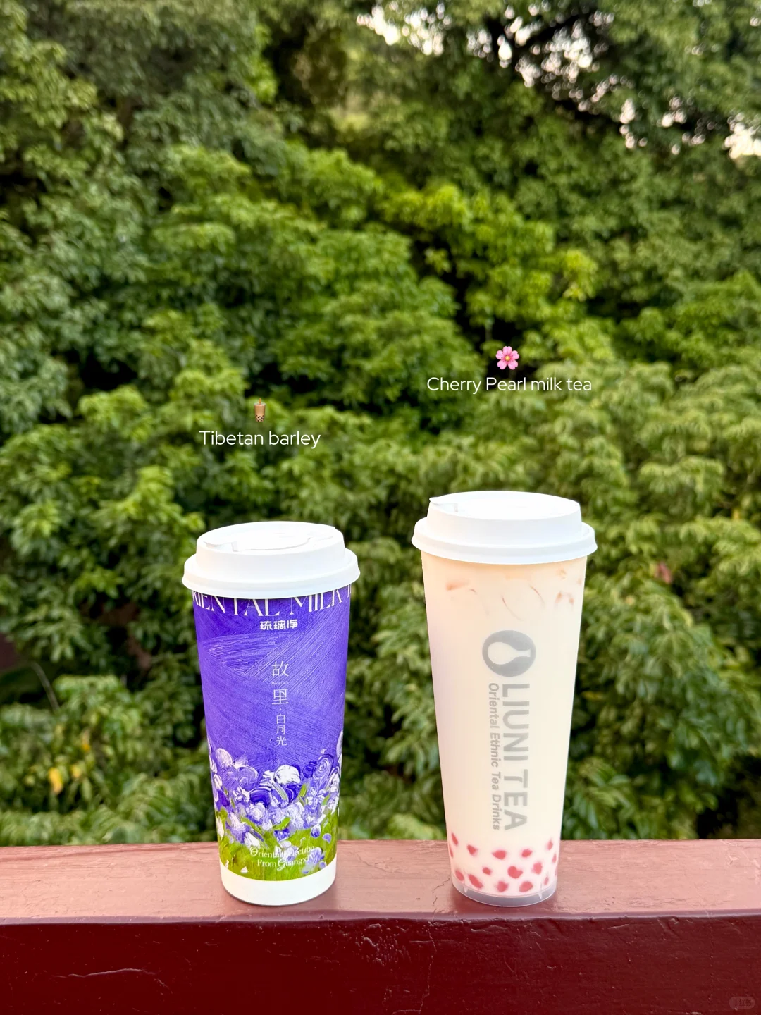 交换冬天的第一杯奶茶🧋