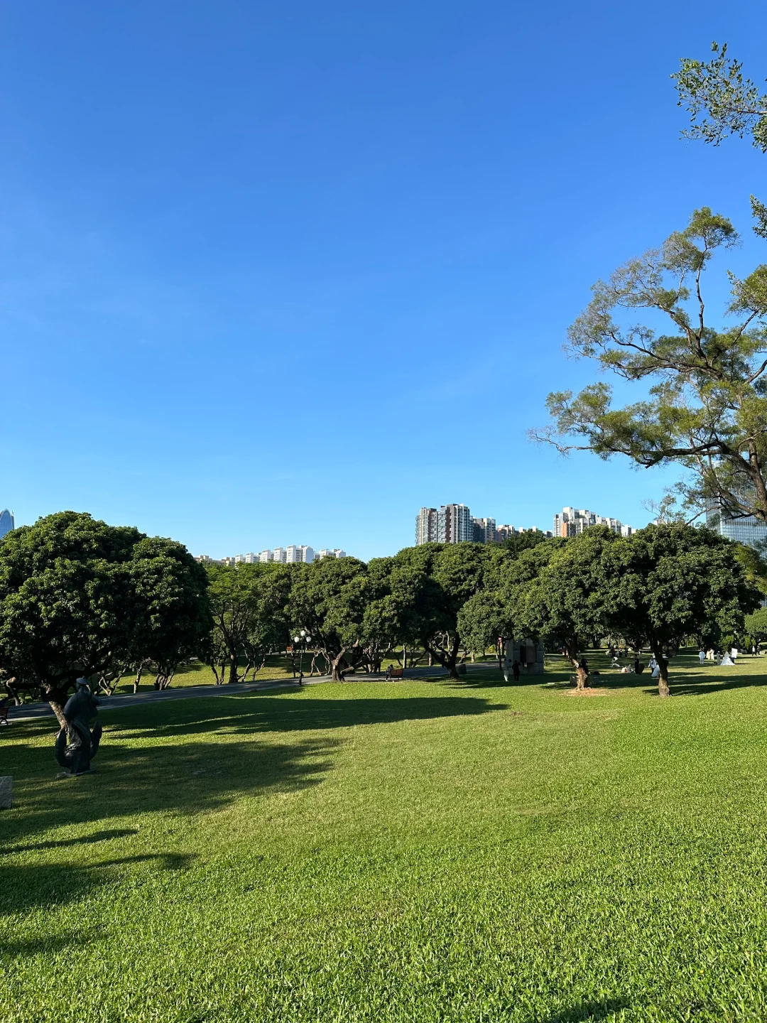 谁懂！真的好爱大深圳的晴天☀️