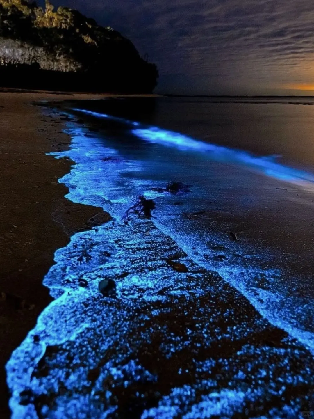 深圳大鹏蓝眼泪全攻略！荧光海的终极浪漫💙