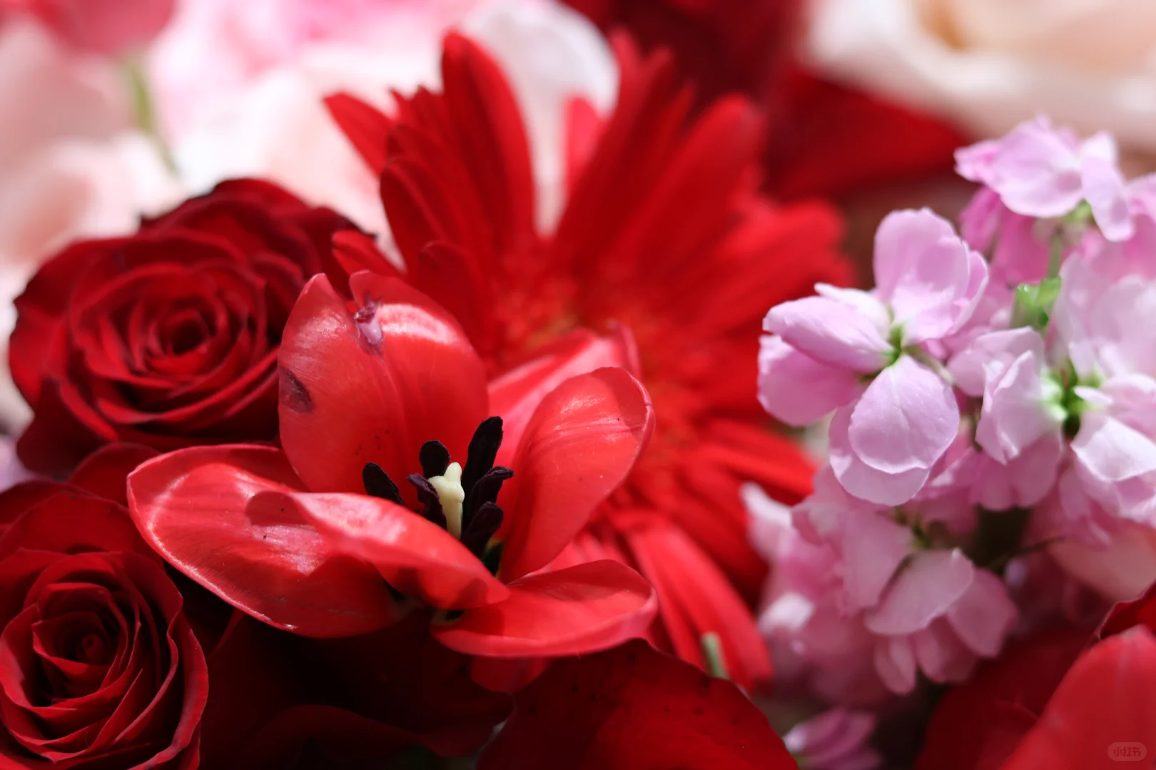 深圳市宝安区怀德万象汇3