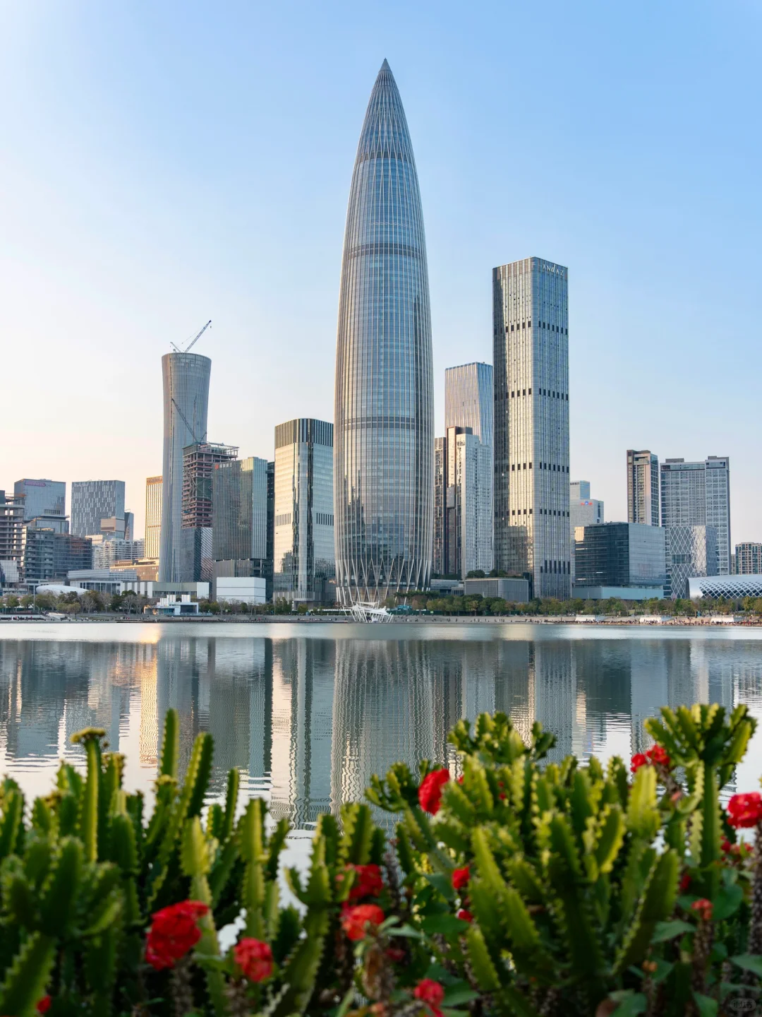 如果在深圳只待一天，直接复制这条游玩路线！