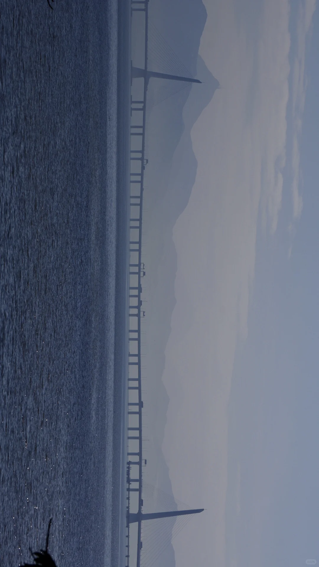 深圳湾日常存档