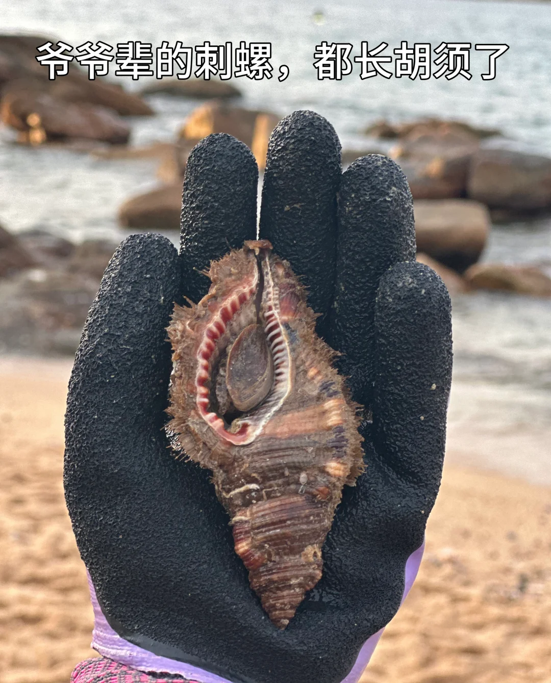 不去人挤人！深圳未开发秘境，超适合赶海！