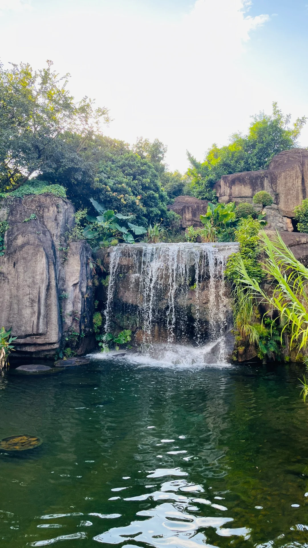 深圳福田荔枝公园游玩攻略