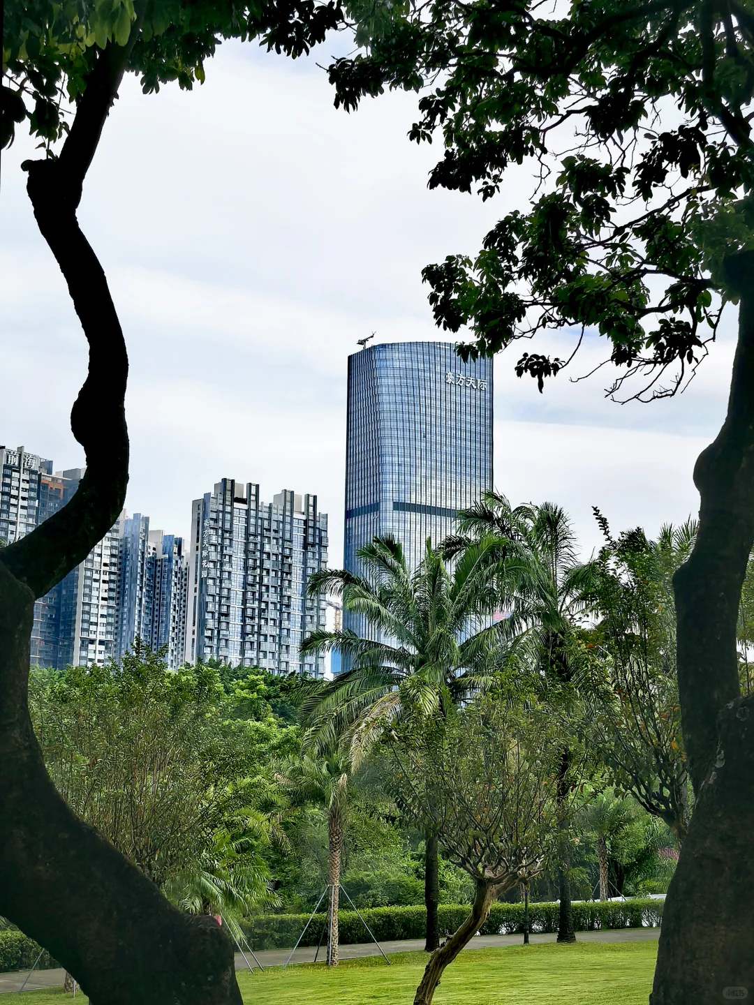 深圳历史最悠久的公园-中山公园