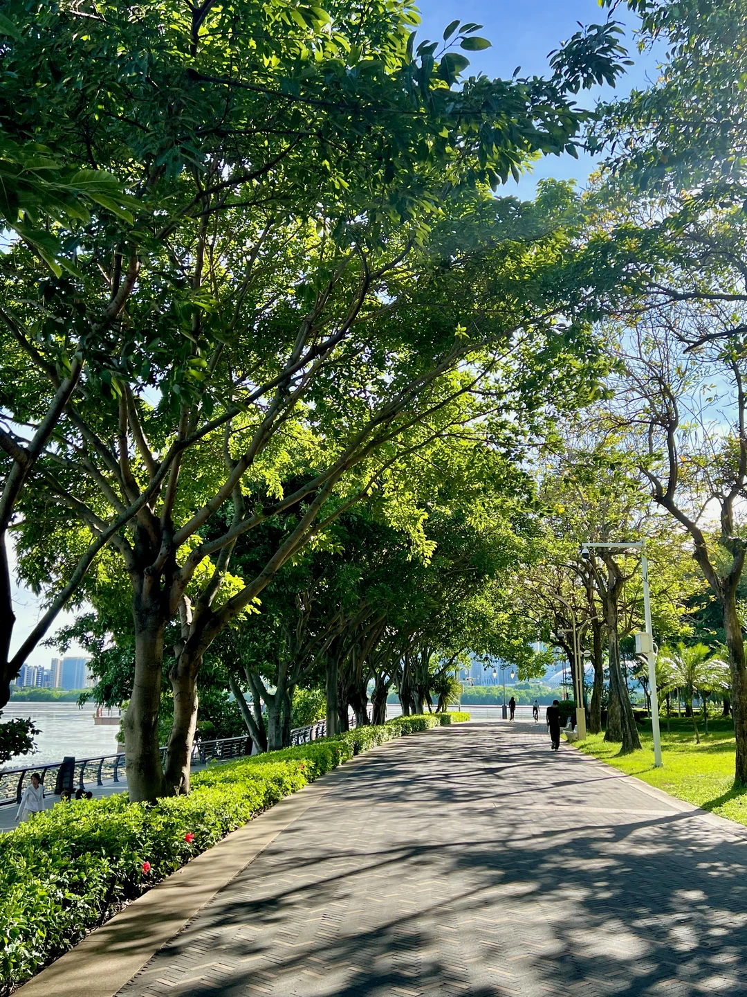 深圳湾看海赏日落超美Citywalk路线（附地图