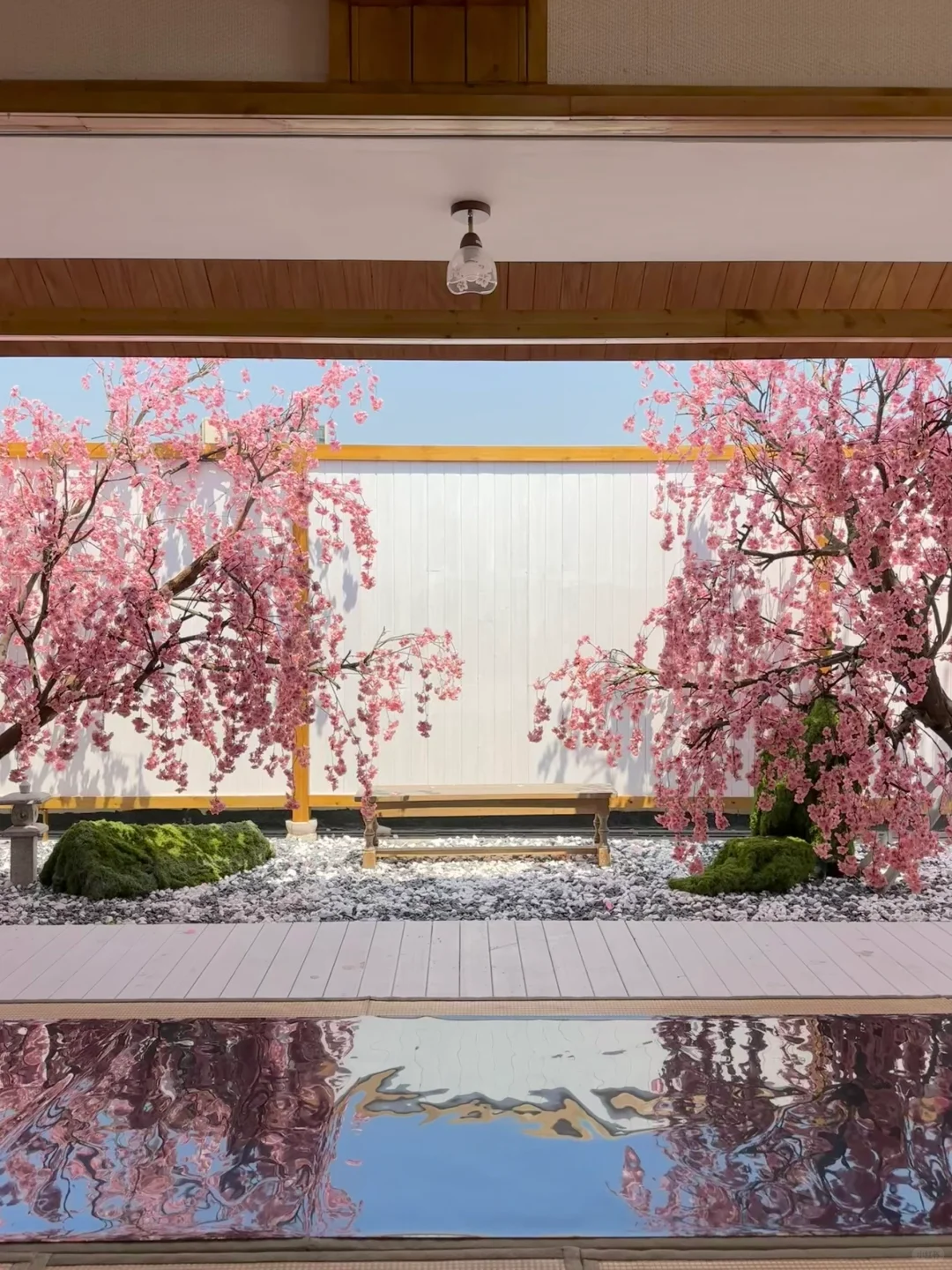 不在国外！！！！在深圳！！！！（live图）