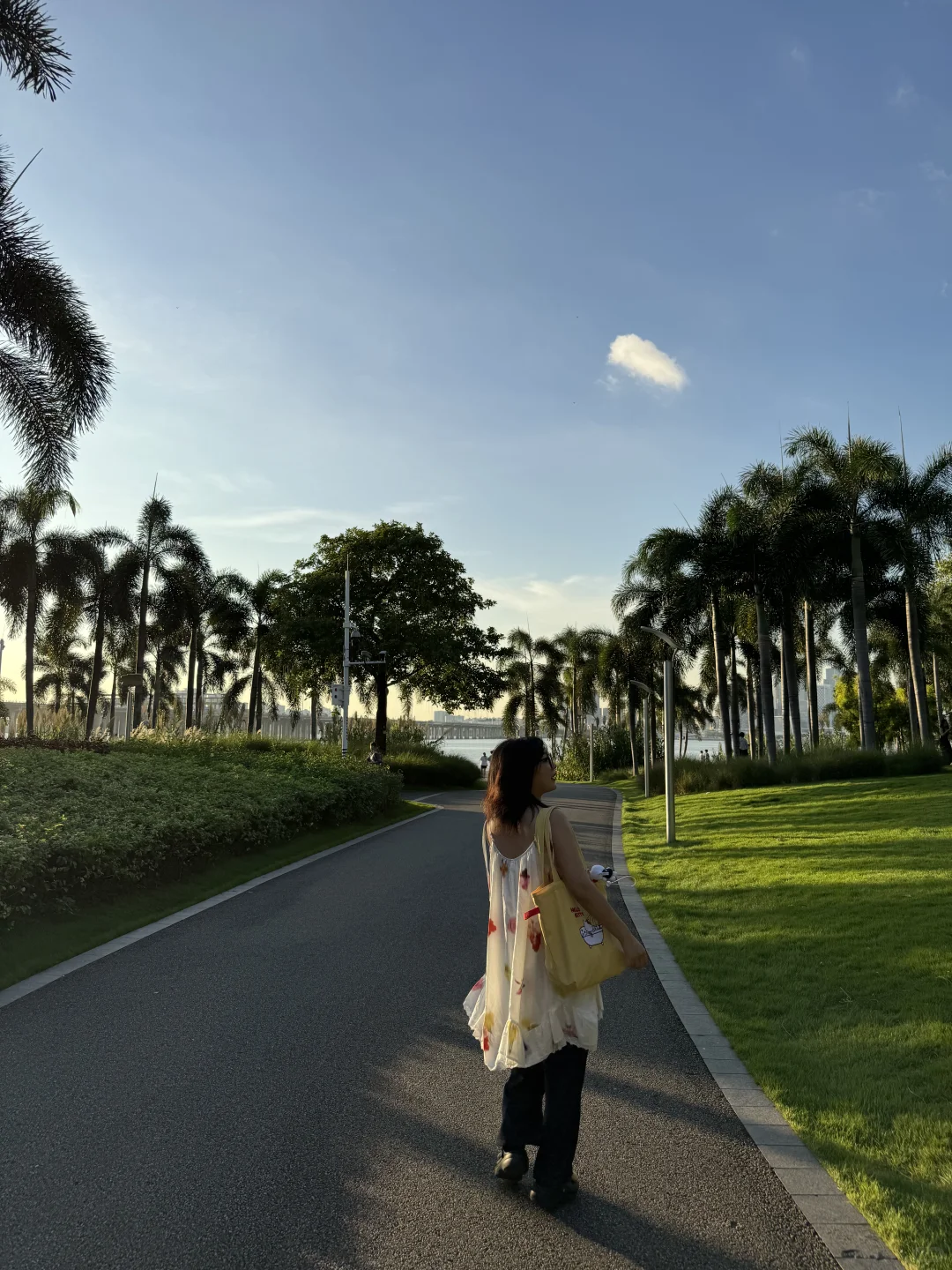 喜欢深圳的9张live图