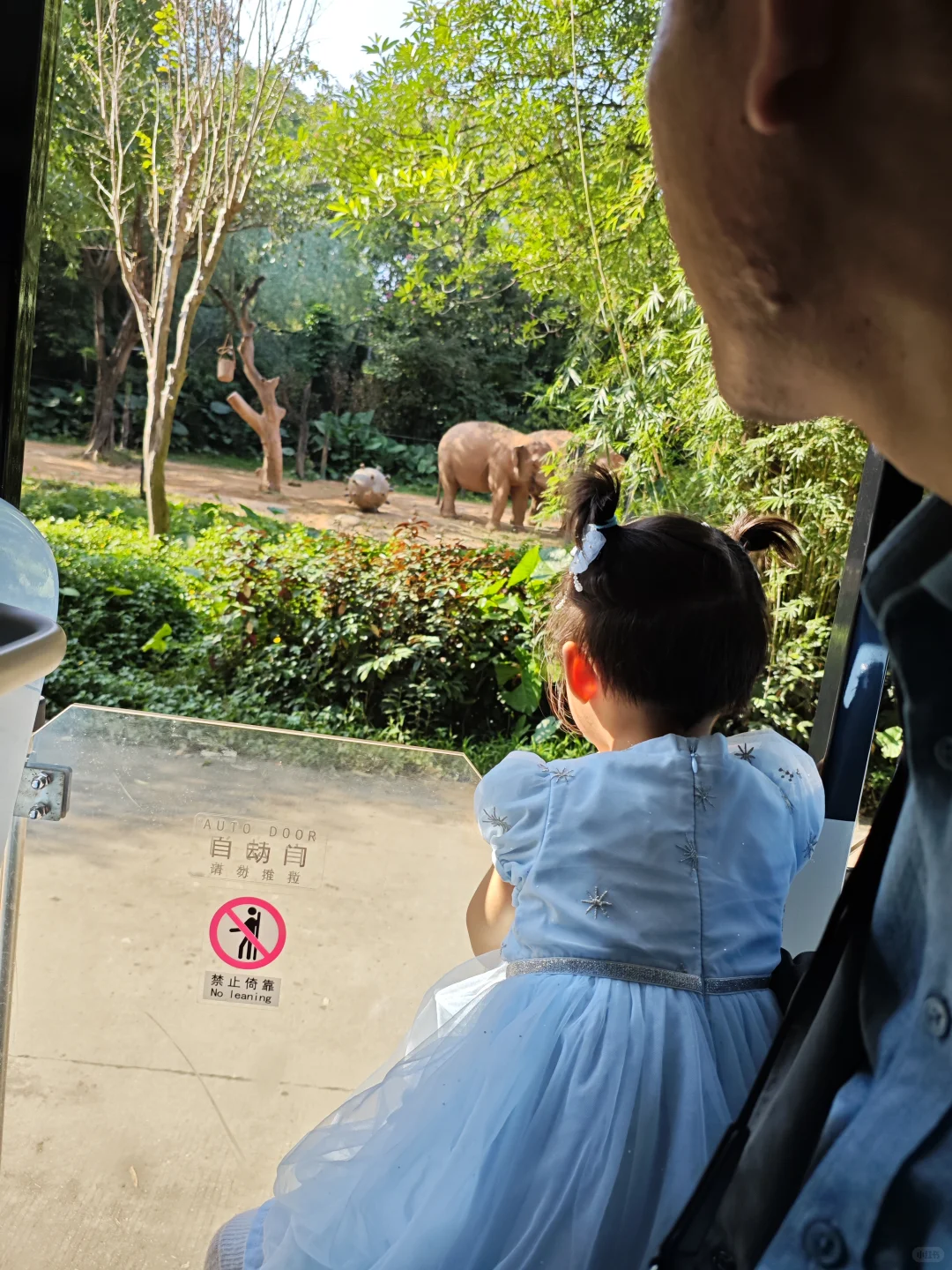 广州长隆野生动物园两日游，表演表