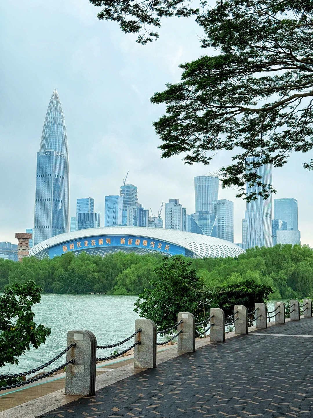 强烈推荐你去深圳湾公园沿海骑行‼️