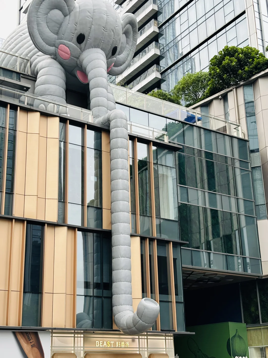 📍深圳City walk🚶🏻‍♂️