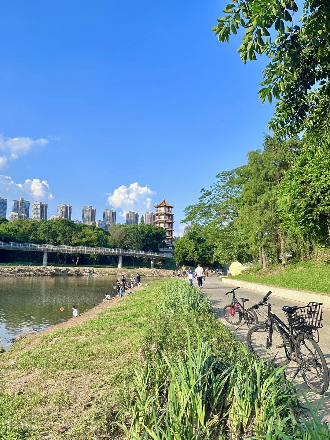 地铁直达🚇深圳99%都不知道的寺庙公园！！