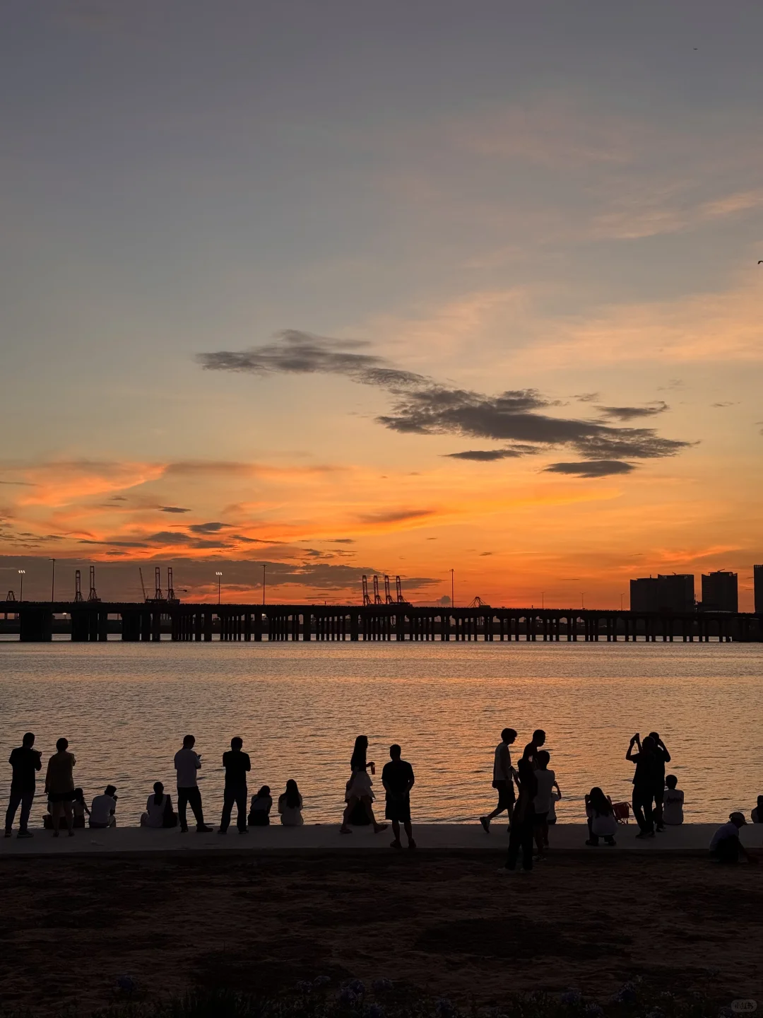 喜欢深圳的9张live图