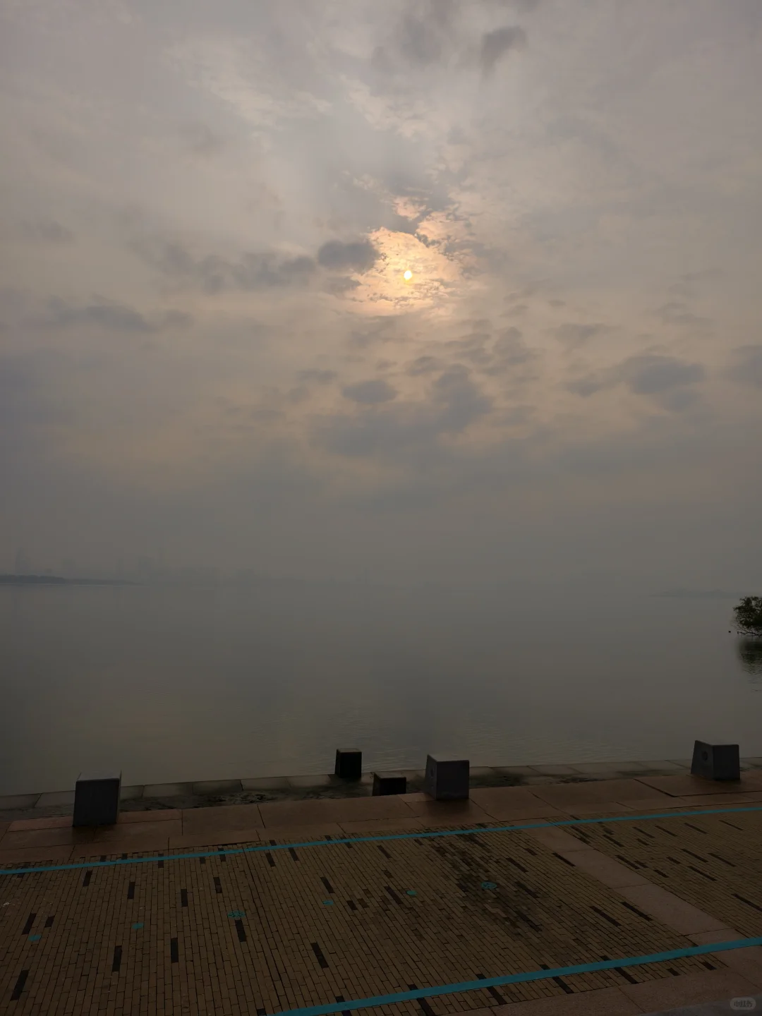 一城一跑！打卡深圳跑步的天花板！