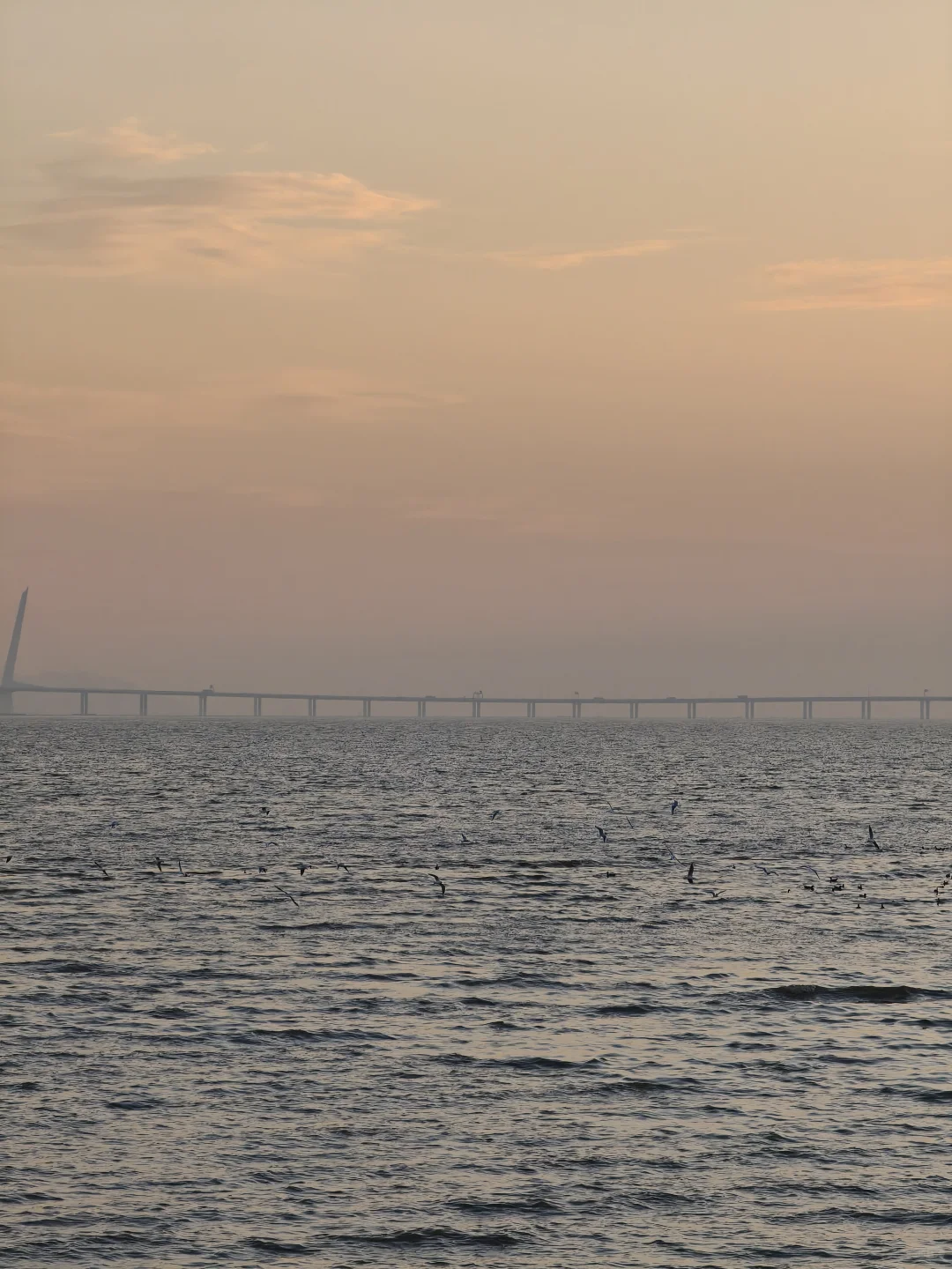 深圳湾公园挤满了仿佛没看过日落的人类