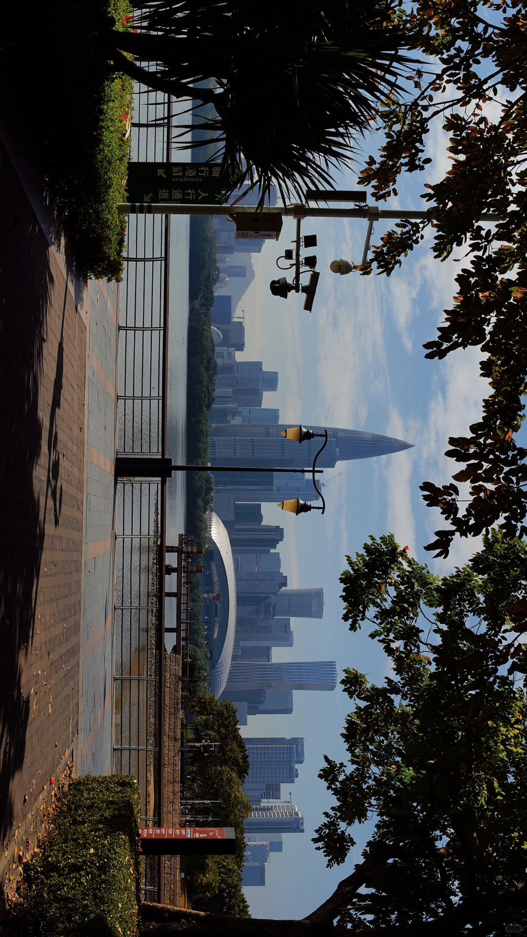 深圳湾日常存档