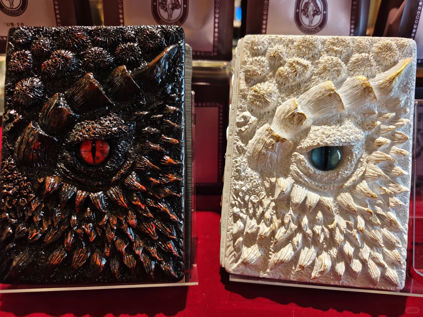 深圳明华轮免费开放❗❗1000天改造后太惊艳