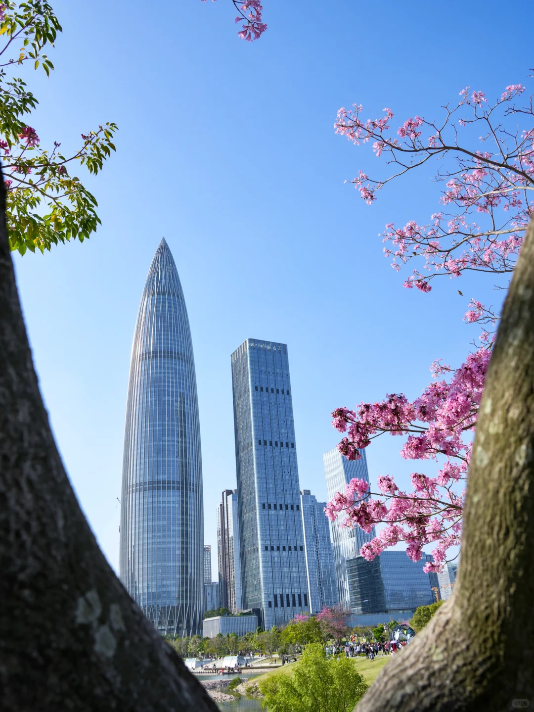 如果在深圳只待一天，直接复制这条游玩路线！