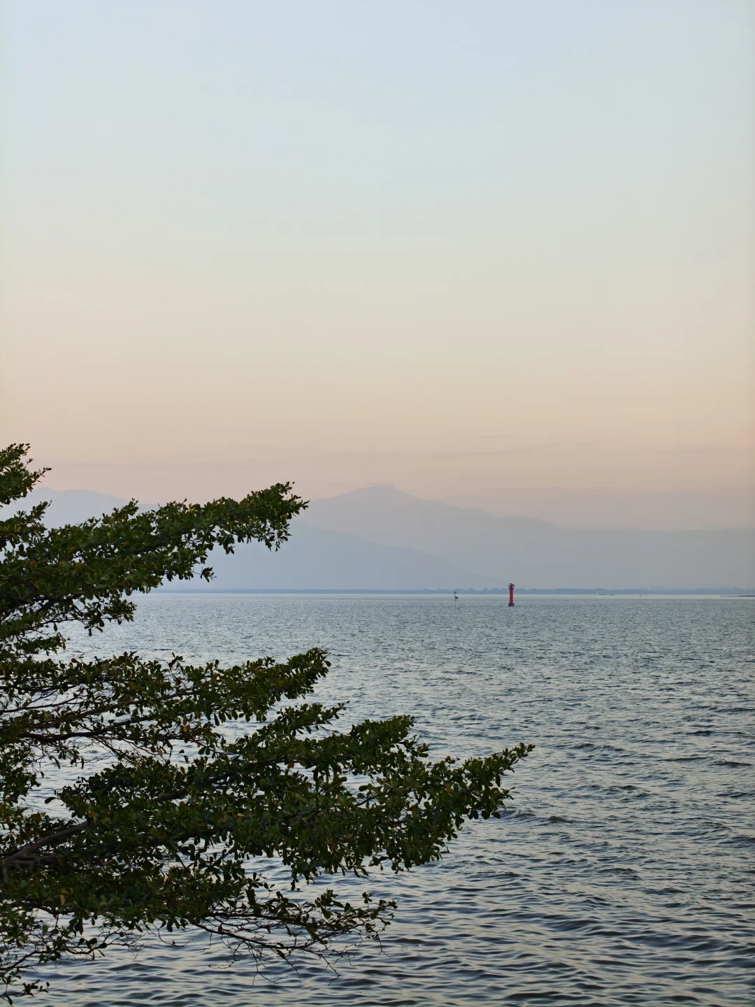 深圳湾公园挤满了仿佛没看过日落的人类