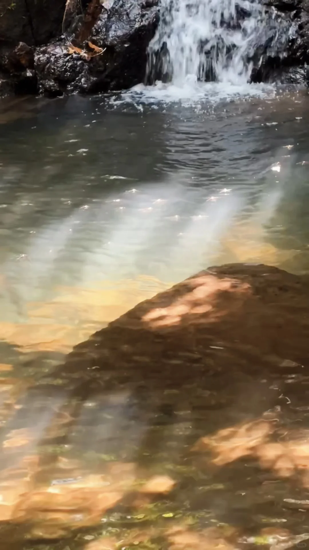 东莞大岭山森林公园｜超野朔溪路线