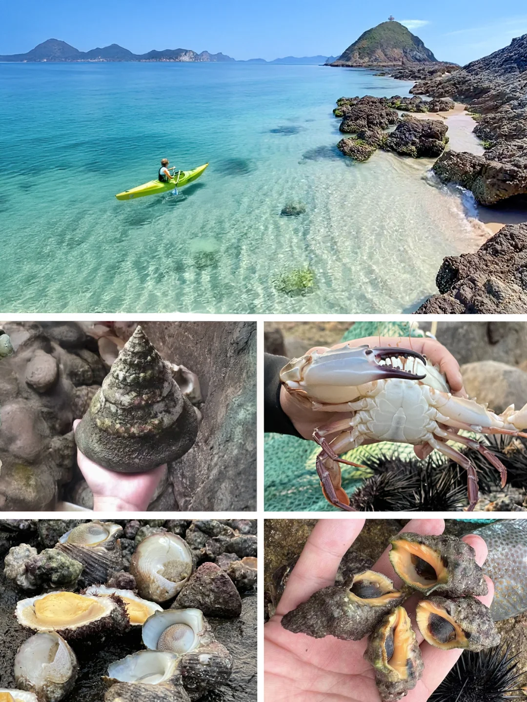 不去人挤人！深圳未开发秘境，超适合赶海！