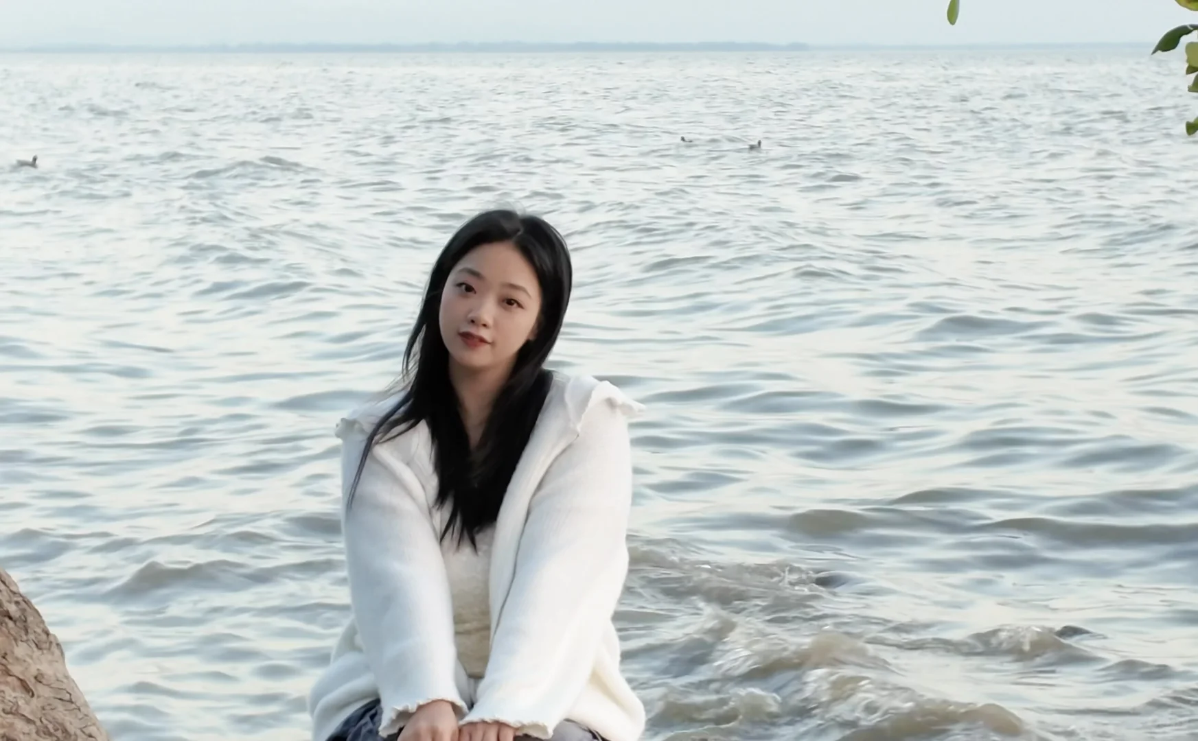 深圳湾真有你的