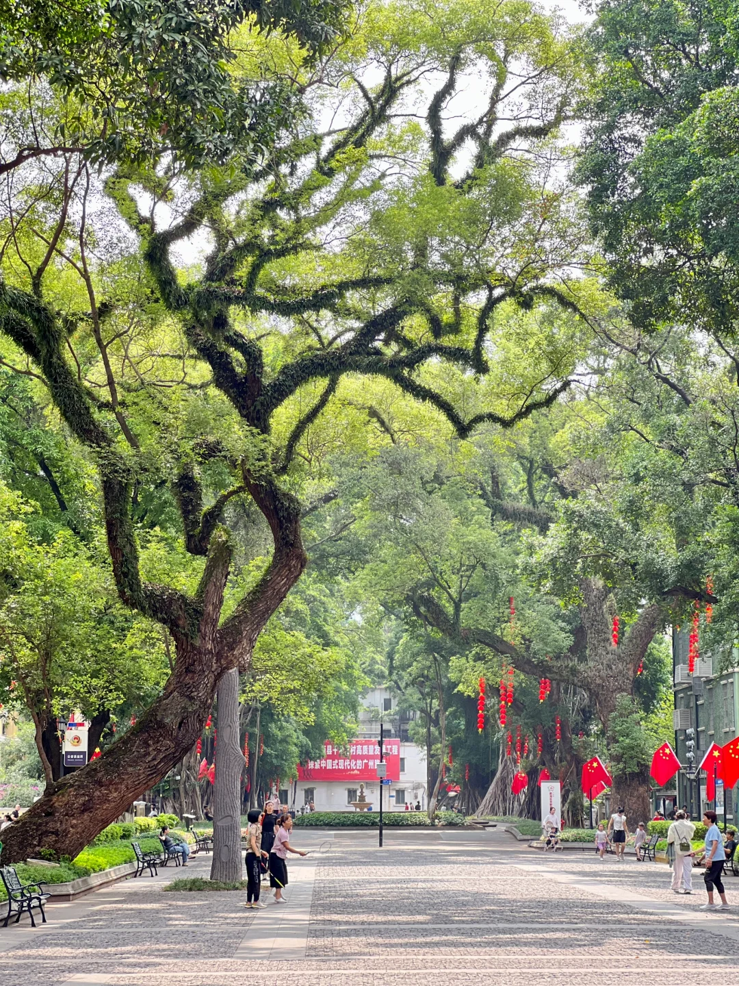 广州让我觉得反差感很大的城市
