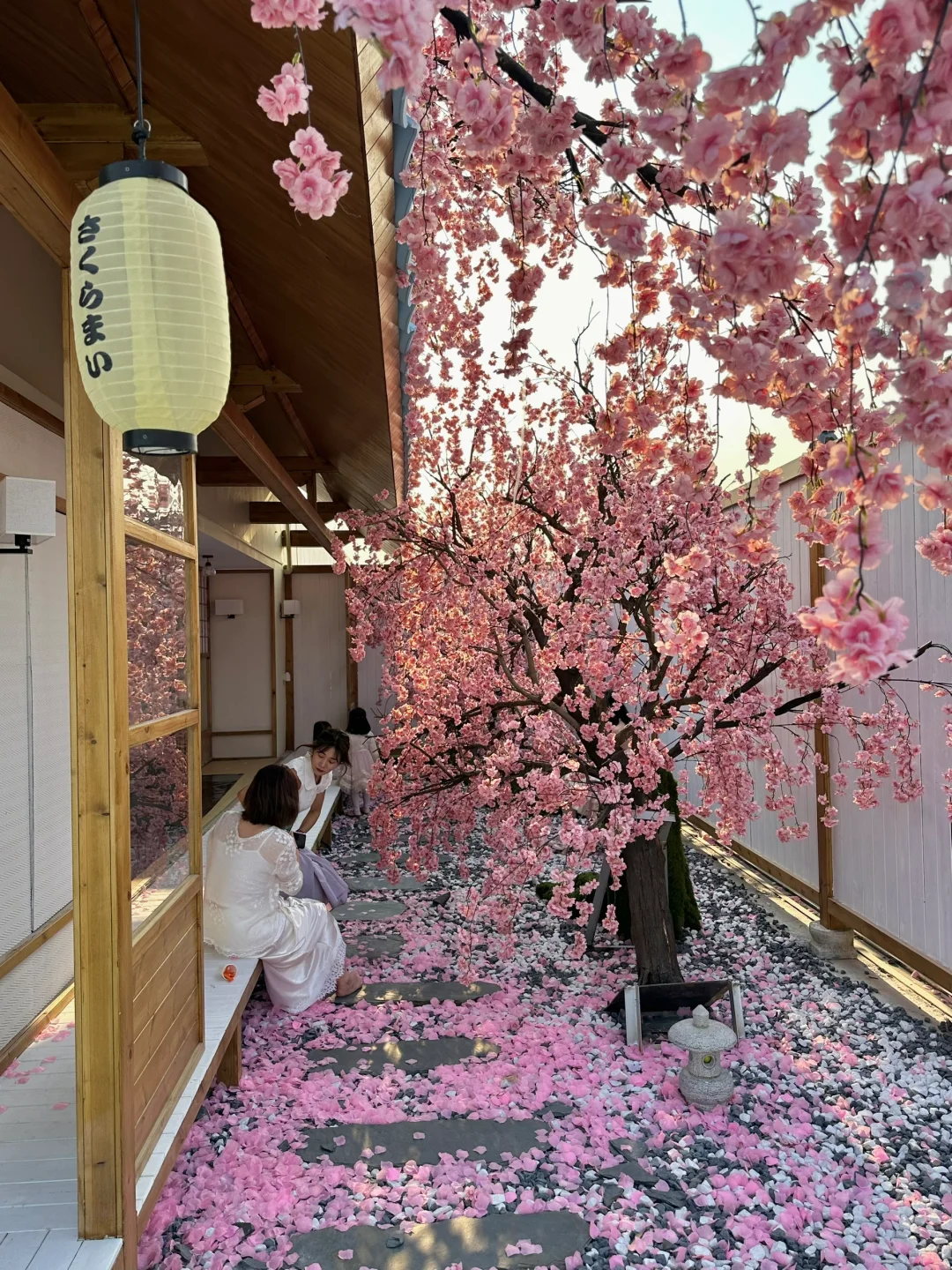 不在国外！！！！在深圳！！！！（live图）