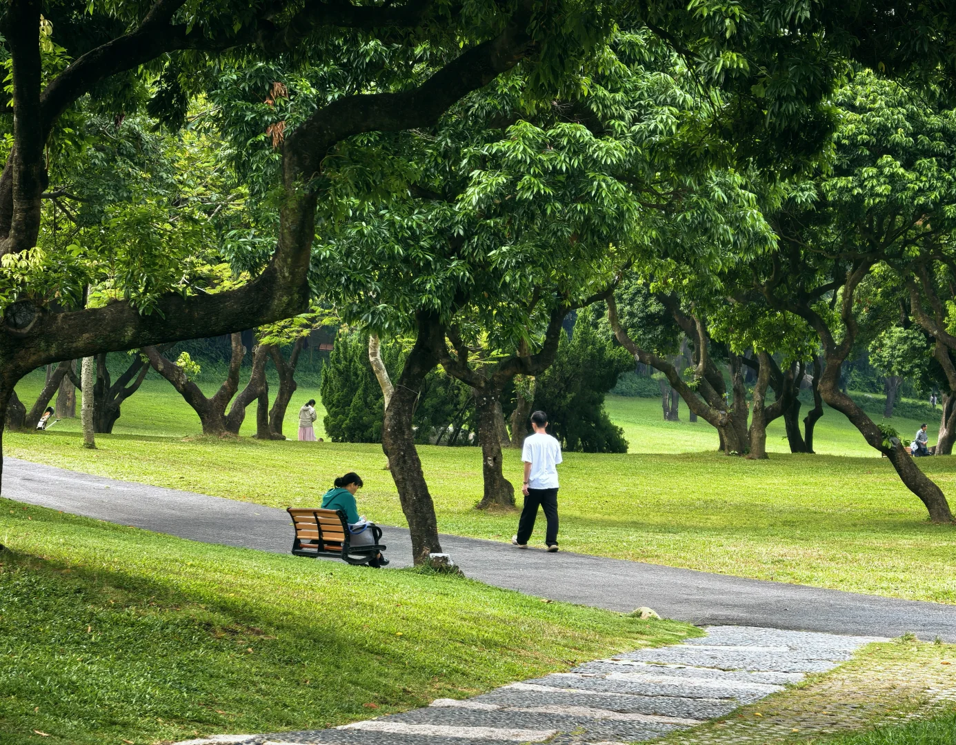 深圳历史最悠久的公园-中山公园