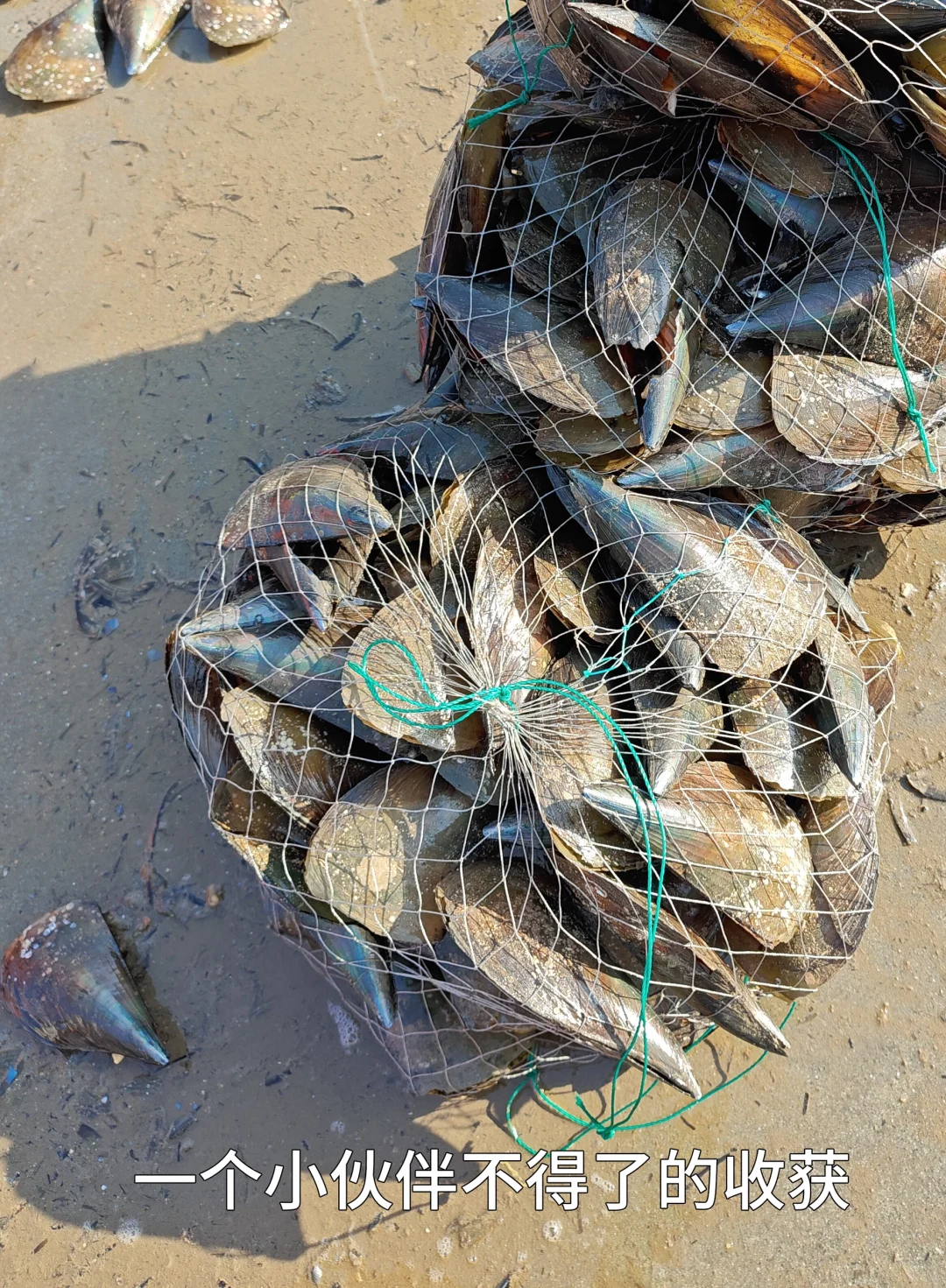 不去人挤人！深圳未开发秘境，超适合赶海！