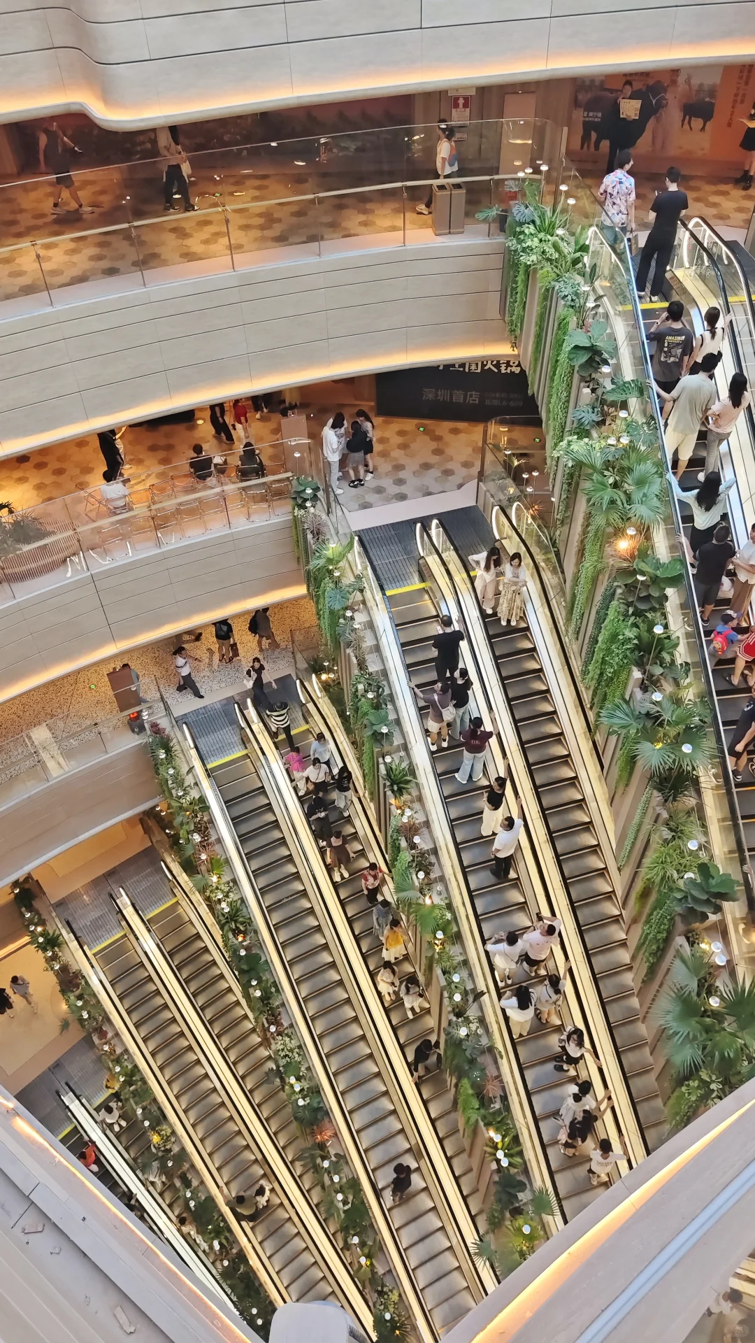 深圳白天和夜晚各种拍照出片点！！！