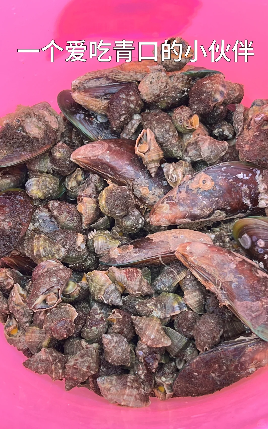 不去人挤人！深圳未开发秘境，超适合赶海！