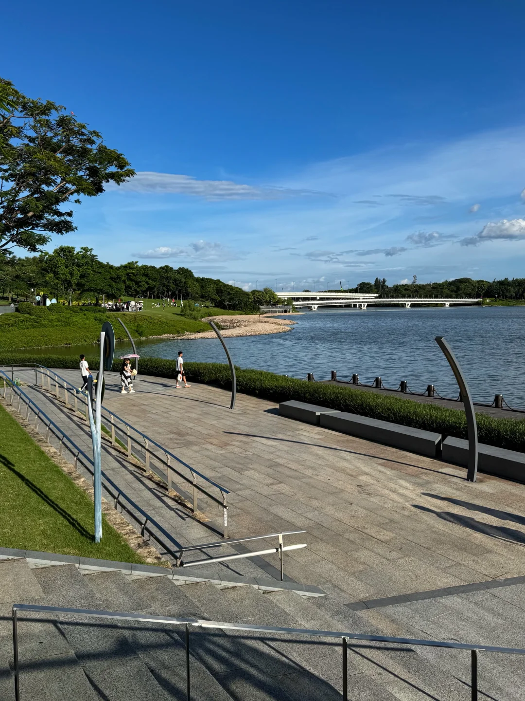 深圳湾不是深德里