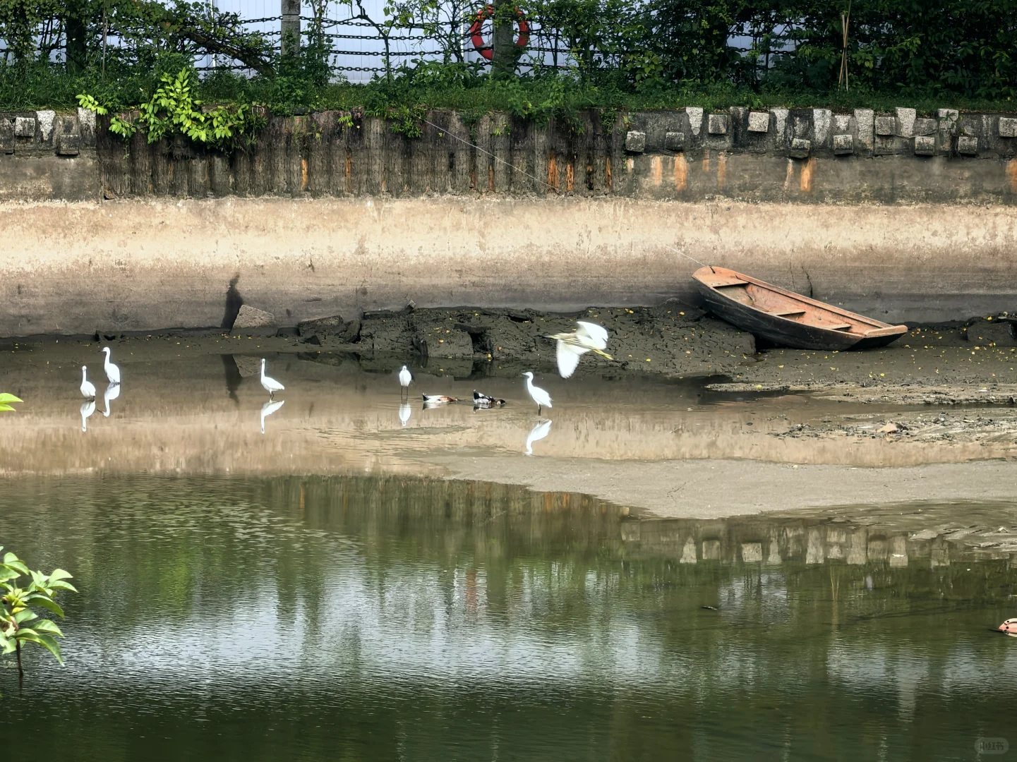 深圳历史最悠久的公园-中山公园
