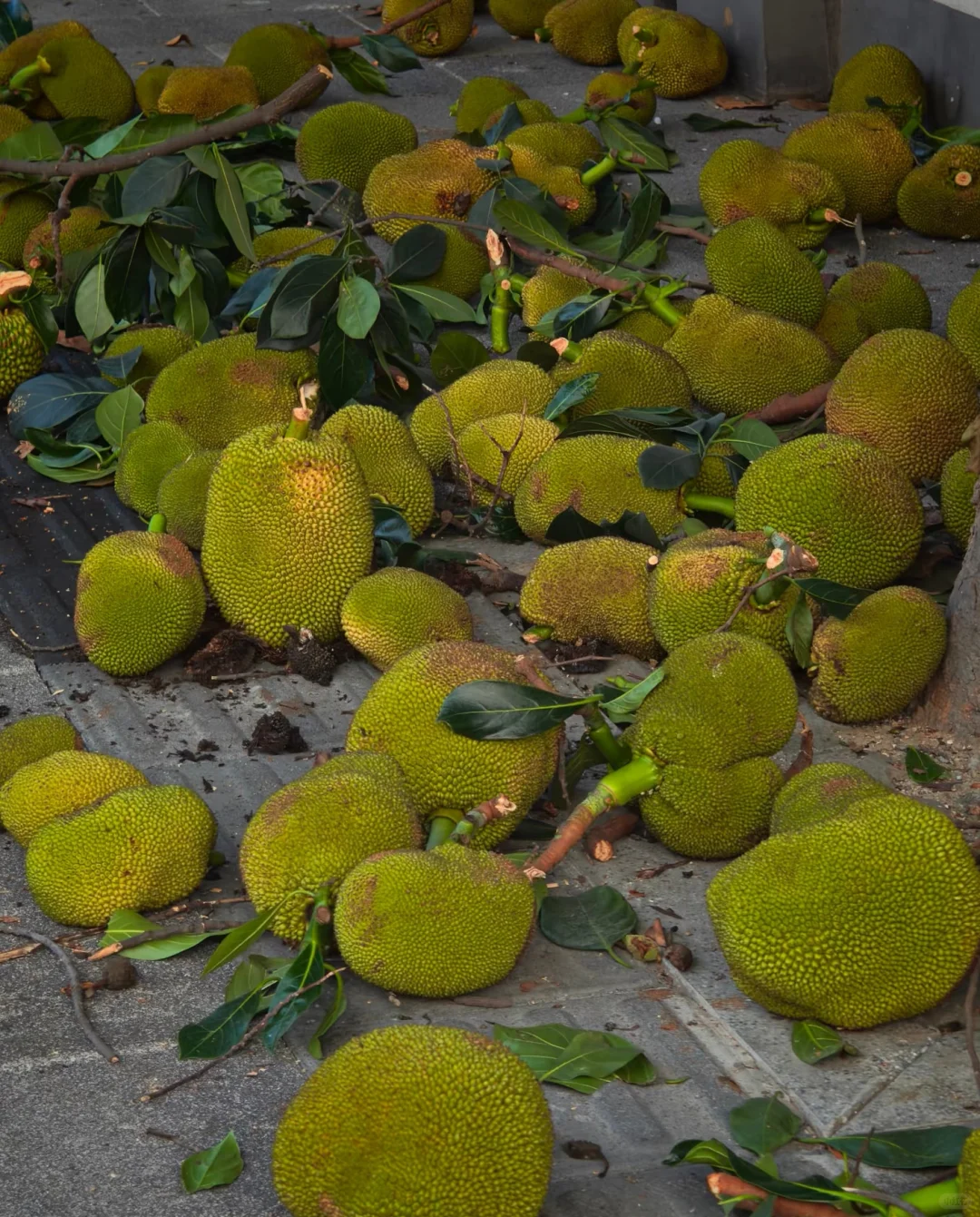 广州急等 大家一起捡