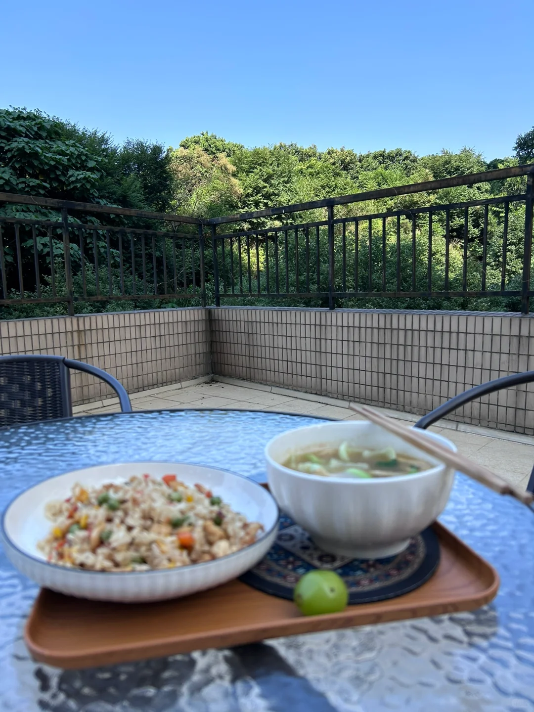 深圳除了房价贵，简直完美！过冬不要太爽啦