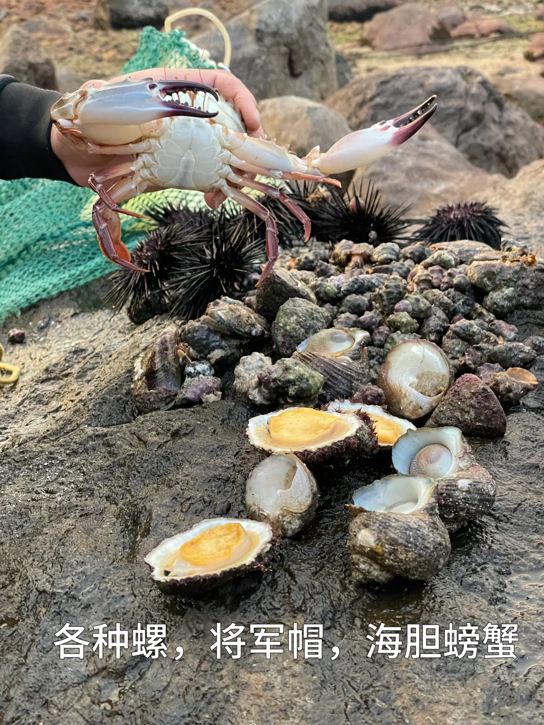 不去人挤人！深圳未开发秘境，超适合赶海！