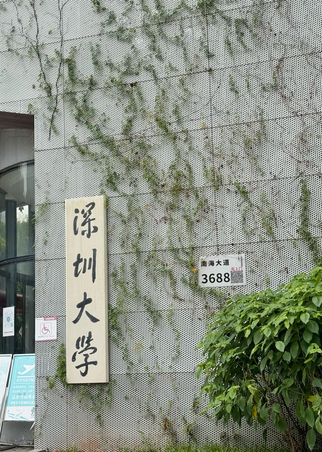 深圳很chill🌴喝咖啡逛公园