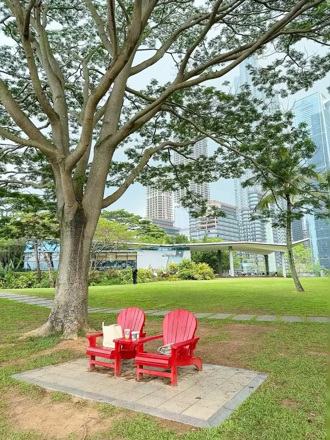 强烈推荐你去深圳湾公园沿海骑行‼️