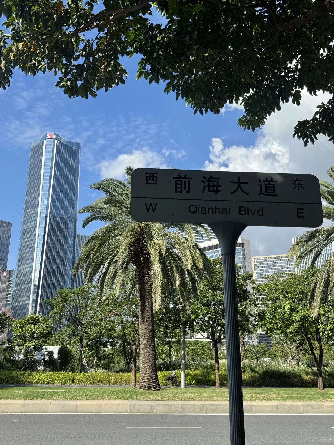 喜欢深圳的9张live图