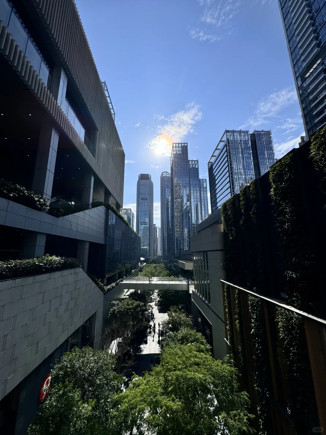 不是曼谷，这是深圳